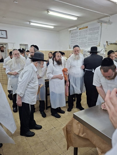 האדמו"ר מאמשינוב באפיית מצות 