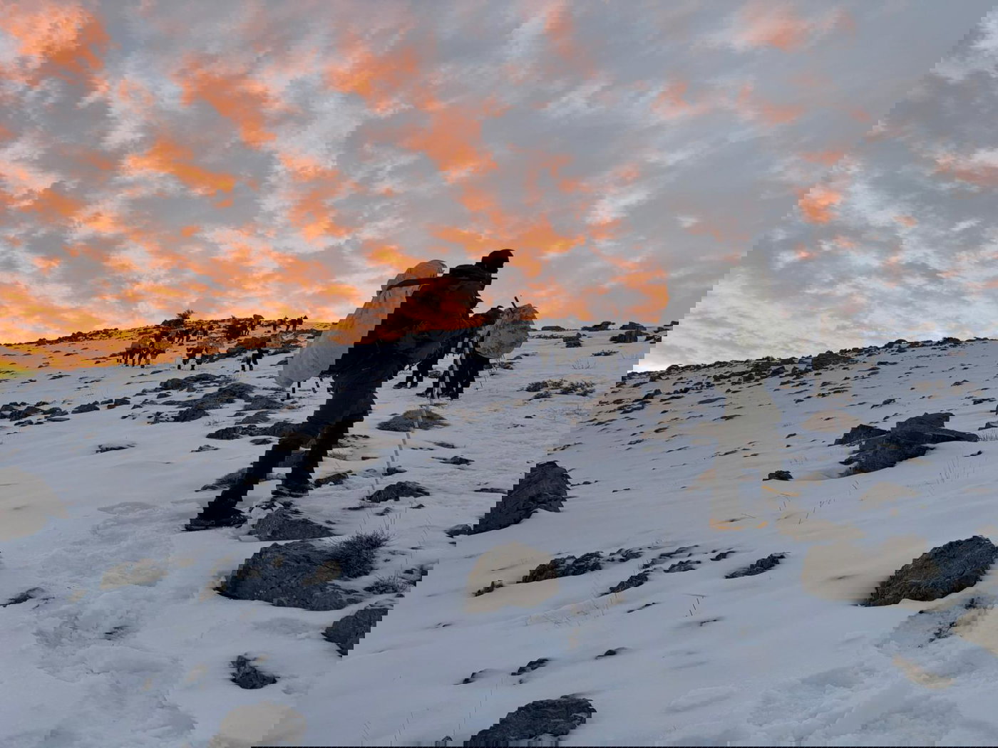 כוחות יחידת האלפיניסטים בפעילות חוצה גבול מהחרמון הסורי לדרום לבנון