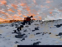 כוחות יחידת האלפיניסטים בפעילות חוצה גבול מהחרמון הסורי לדרום לבנון