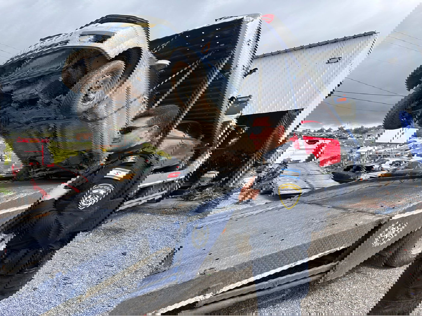 תיעוד מהפעילות