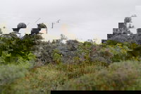 כוחות חטיבה 226 בפעילות קרקעית ממוקדת בדרום לבנון