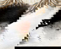 הגר"מ שטרנבוך בקריאה נרגשת