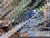 13 פצועים קל מטיל מתפצל | זירות נפילה בבני ברק ופתח תקווה | תקיפות דרמטיות ברחבי איראן