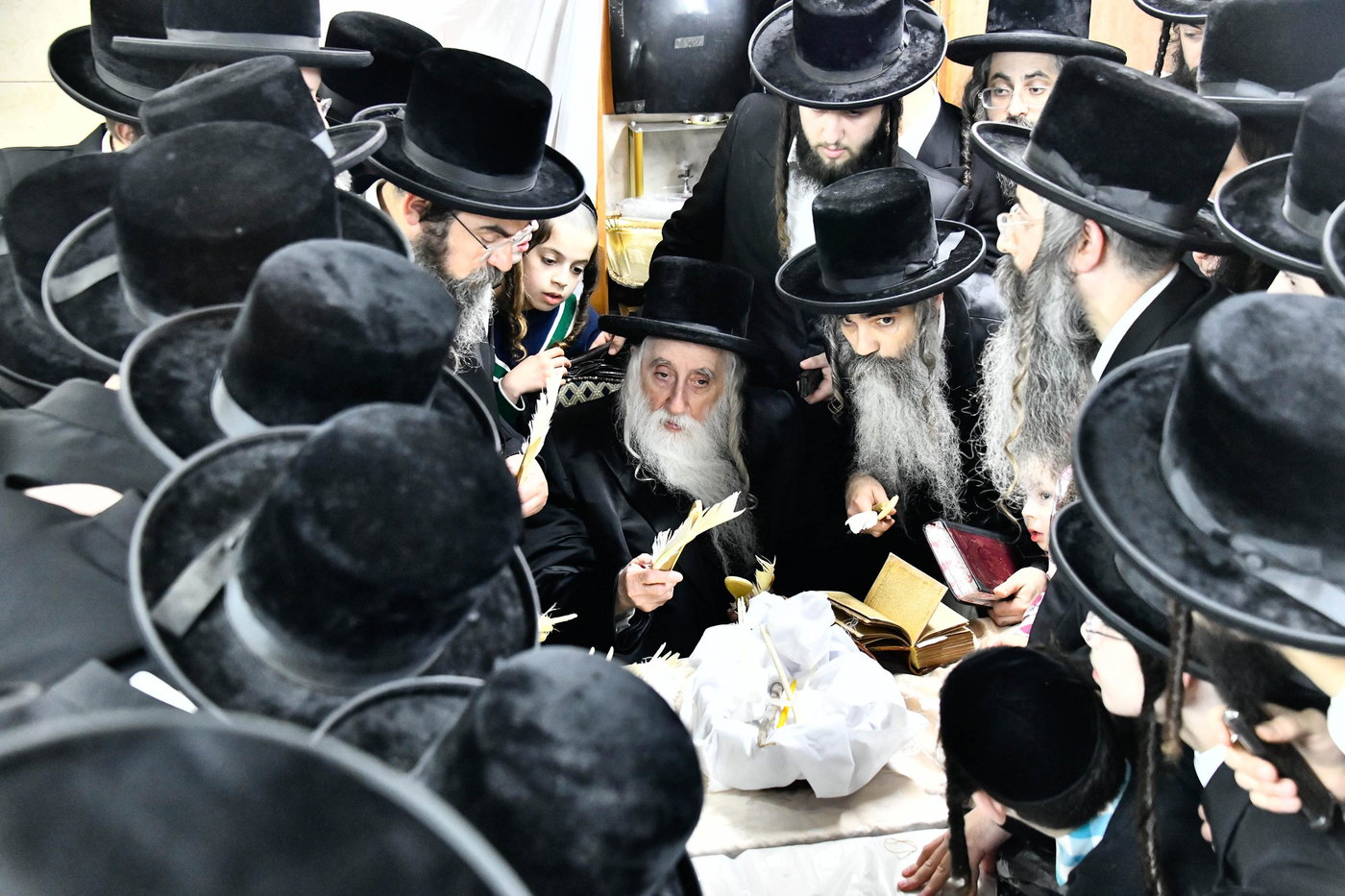 האדמו"ר ממכנובקא בעלזא בבדיקת חמץ