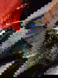 החילוץ ממערת זווית