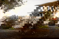 גולני בלבנון