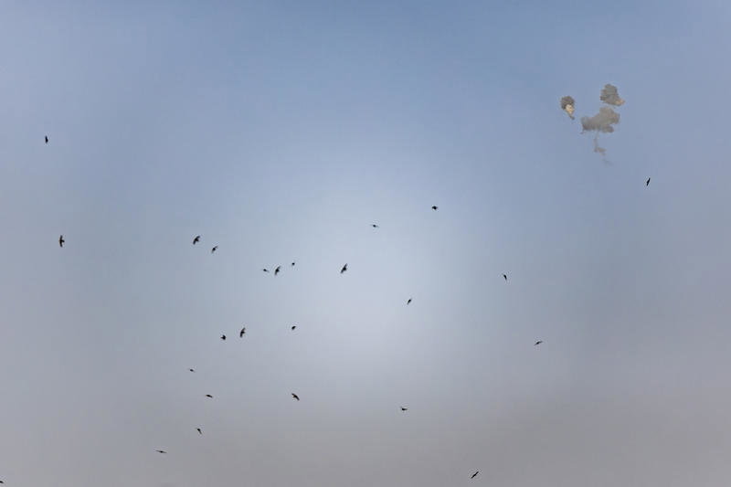 הלילה: שיגור מאיראן לדימונה והסביבה; ירי מלבנון לצפון הארץ | צה"ל תקף מטרות ברחבי איראן