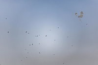 הלילה: שיגור מאיראן לדימונה והסביבה; ירי מלבנון לצפון הארץ | צה"ל תקף מטרות ברחבי איראן