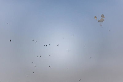 טראמפ: "ציוויליזציה שלמה תמות הלילה" | ישראל תקפה גשרים ותשתיות