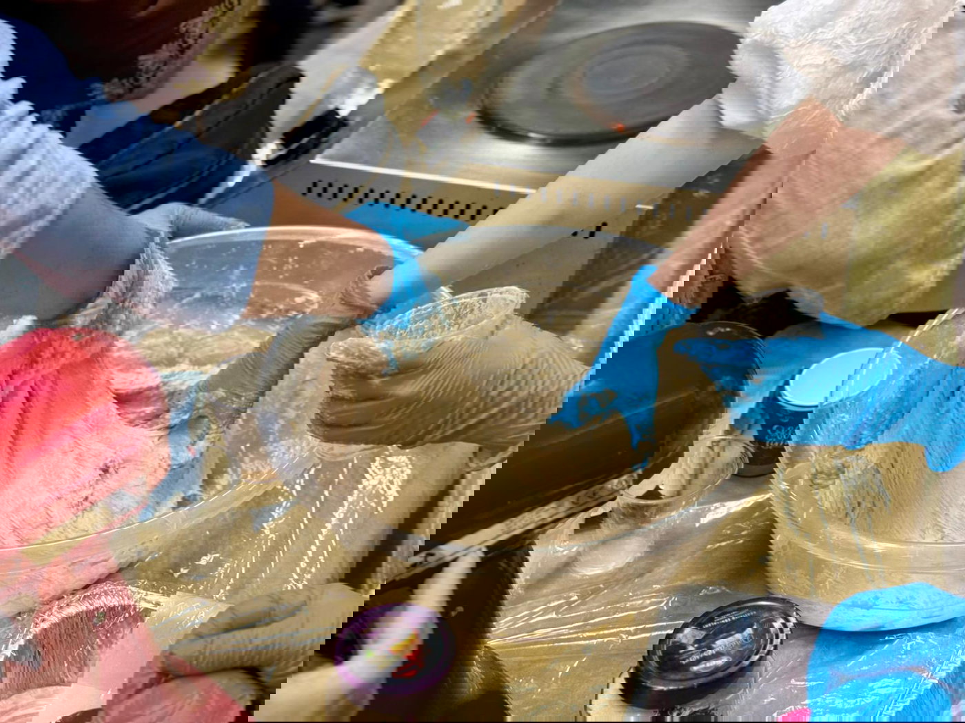 חגיגת מימונה במרכז הרפואי רמב"ם