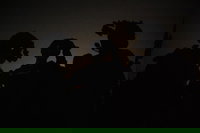 כוחות צה"ל בדרום לבנון