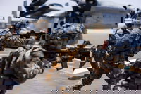 חיילים נחתים אמריקאים