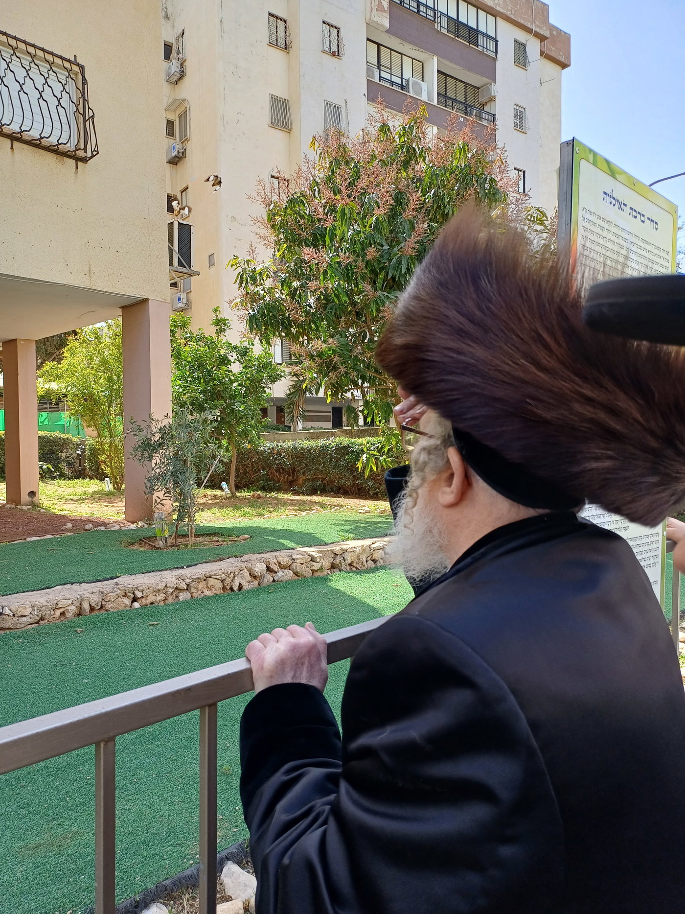 האדמו"ר מזלאטשוב בברכת האילנות