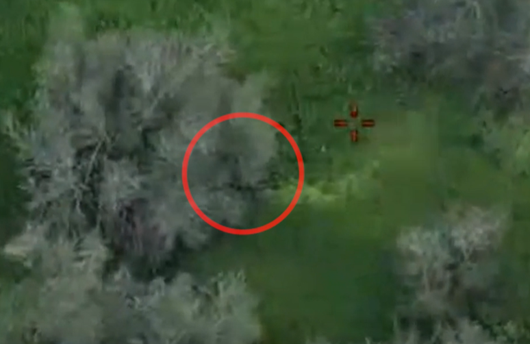 תיעוד דרמטי: המחבל זוחל ומסתתר בשיחים - ומחוסל בתקיפה מדוייקת