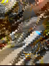 הקורקינט החשמלי המפויח