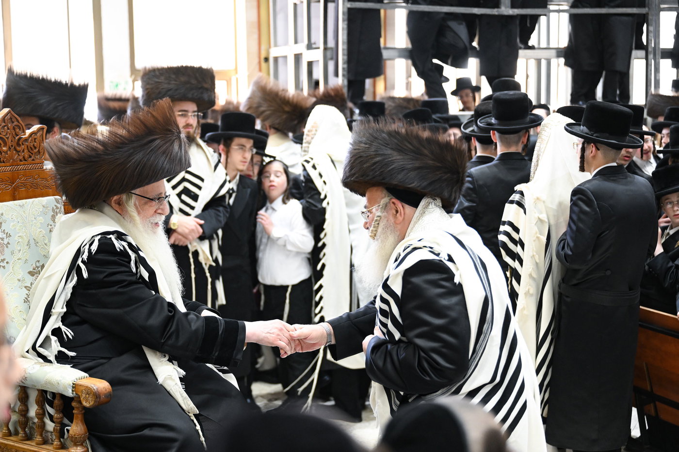 הקבלת פני רבו ברגל בחצה"ק צאנז