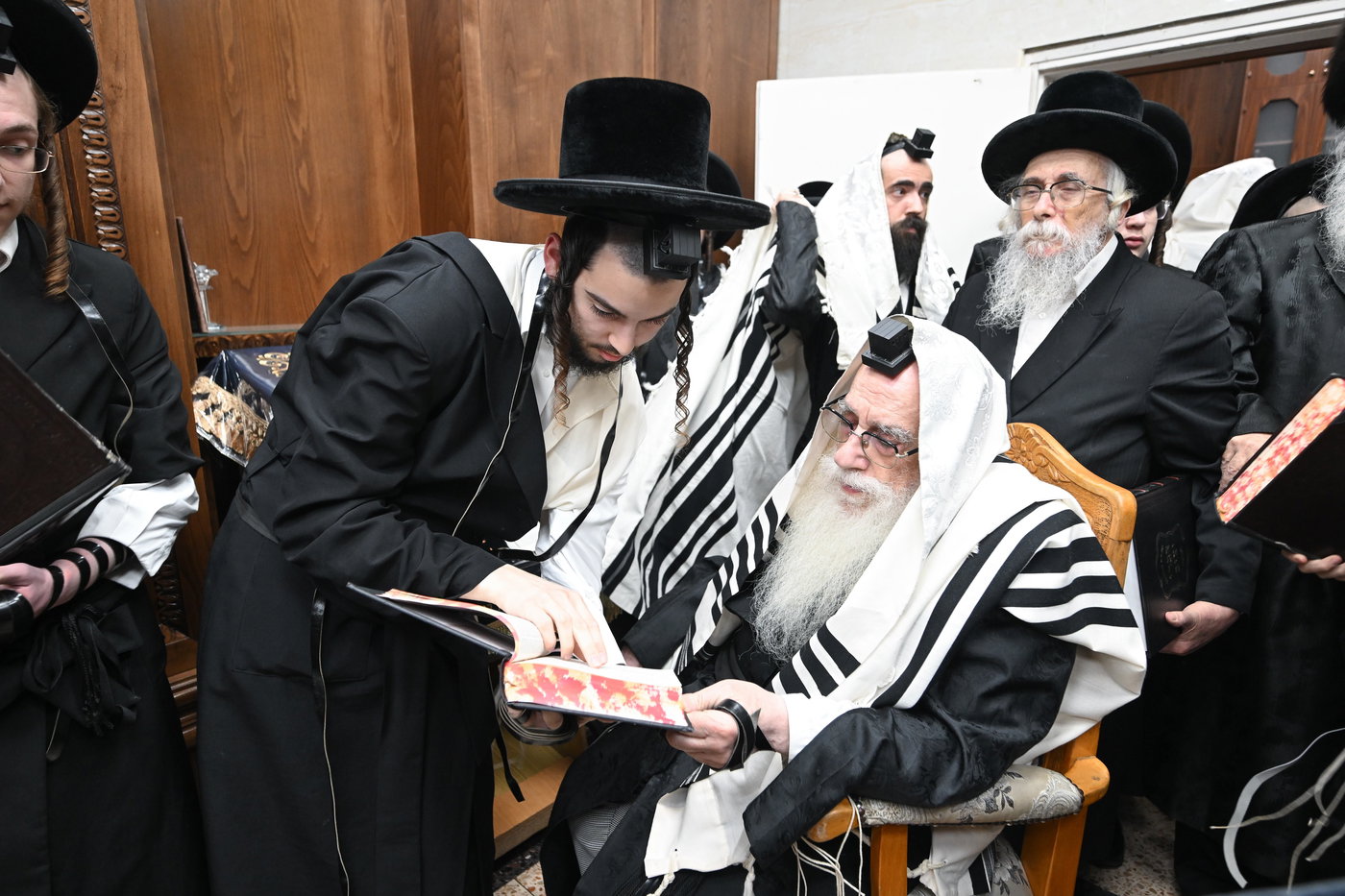 האדמו"ר מצאנז בסיומי בכורים בערב פסח