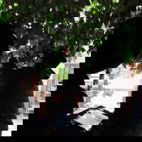 חג הפסח בחצה"ק ז'מיגראד