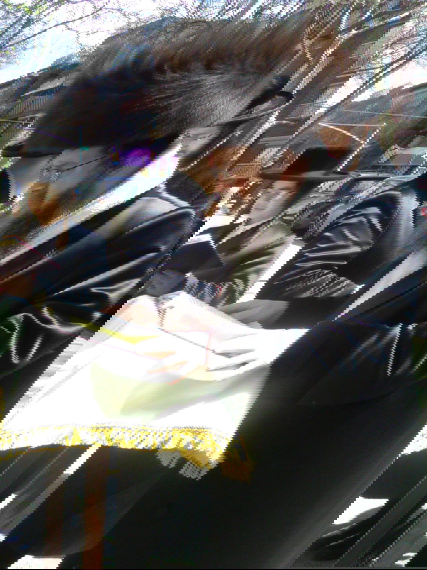 האדמו"ר מקרעטשניף סיגעט ווילאמסבורג בברכת האילנות