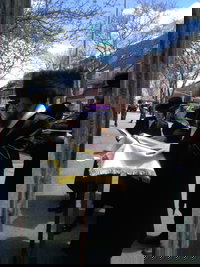 האדמו"ר מקרעטשניף סיגעט ווילאמסבורג בברכת האילנות