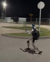 מְגָרֵשׁ החזירים הפולני: האם נמצא הפתרון לבעיית חזירי הבר בישראל? צפו