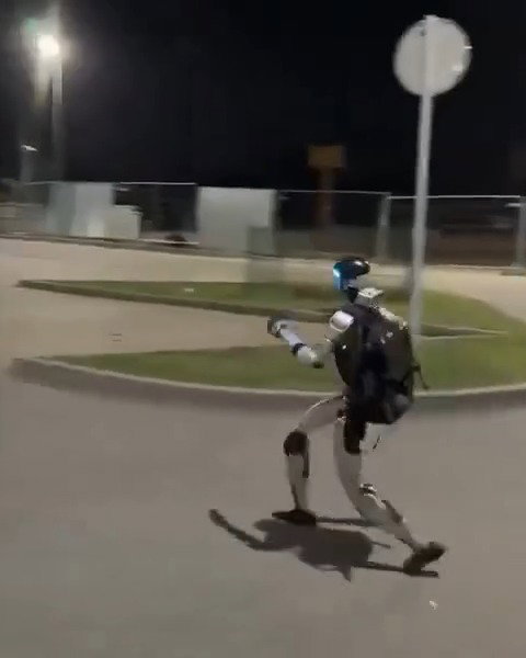 הרובוט רודף אחרי החזירים