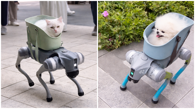 4X4: הכלבים הרובוטיים בסין שמוציאים את חיות המחמד לטיול