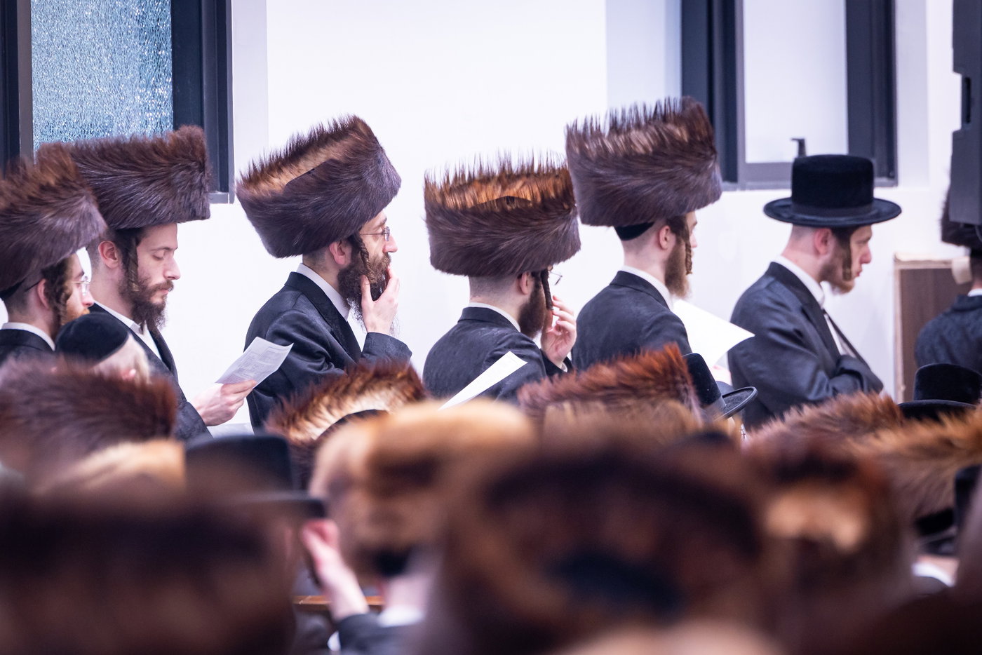 חג הפסח בחצה"ק באבוב 45