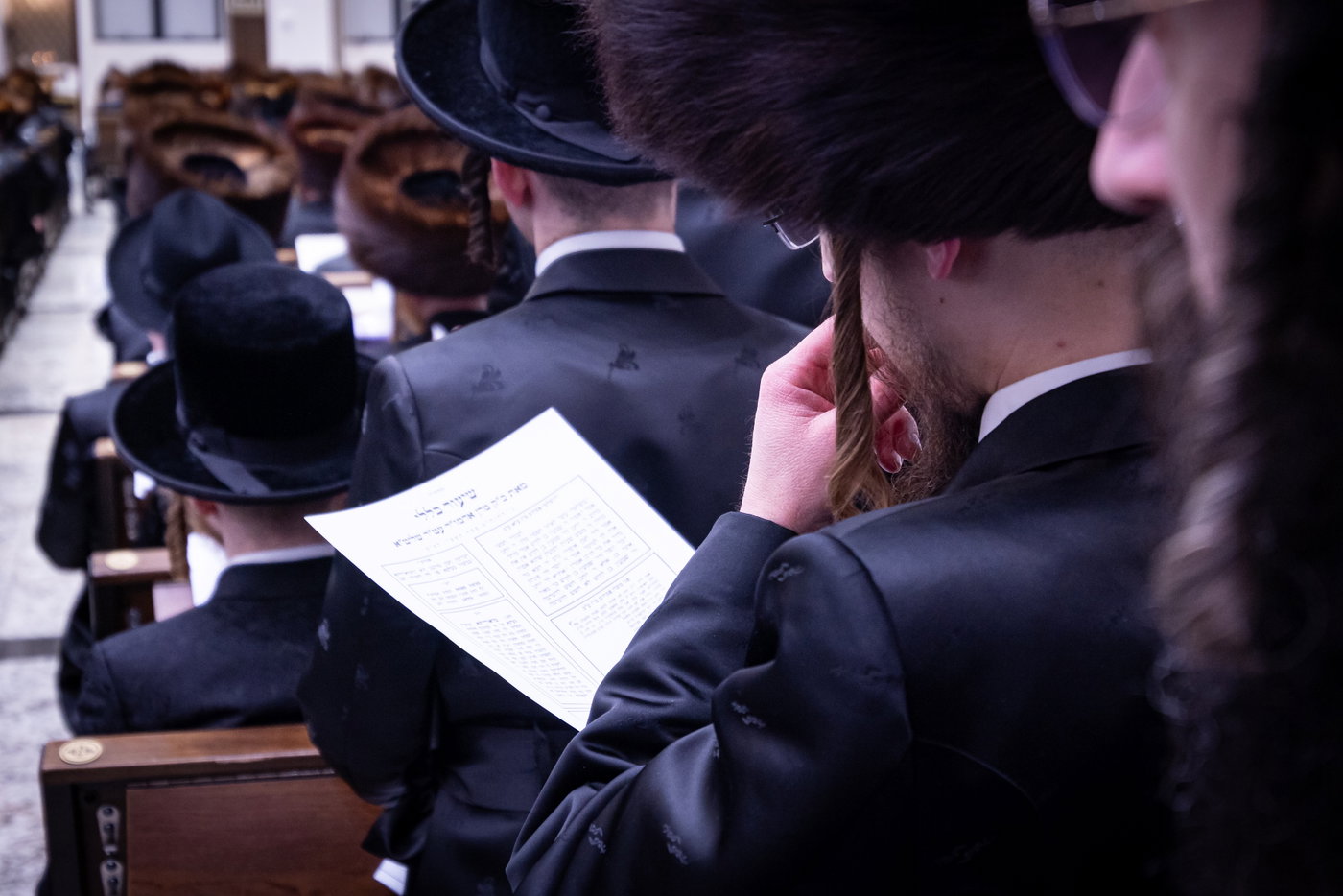 חג הפסח בחצה"ק באבוב 45