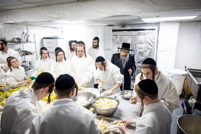 חג הפסח בחצה"ק באבוב 45