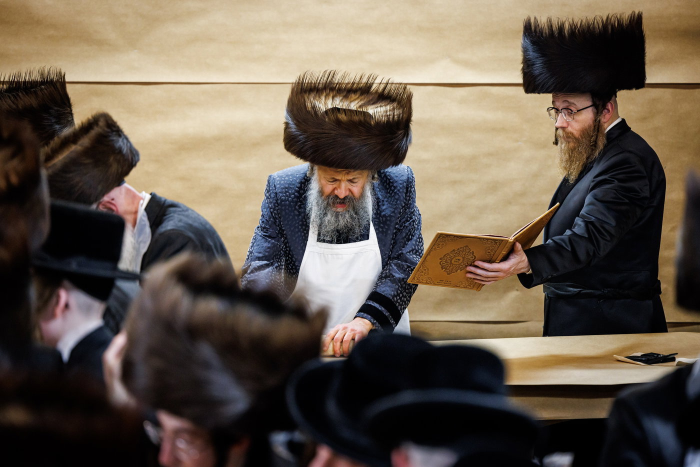 חג הפסח בחצה"ק באבוב 45