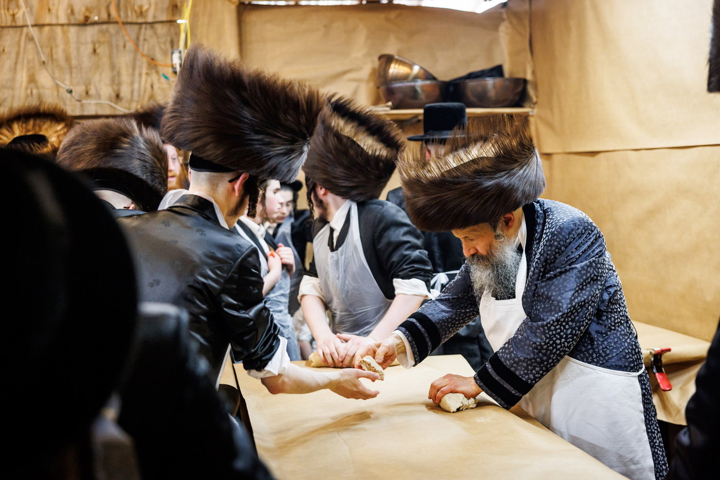 חג הפסח בחצה"ק באבוב 45