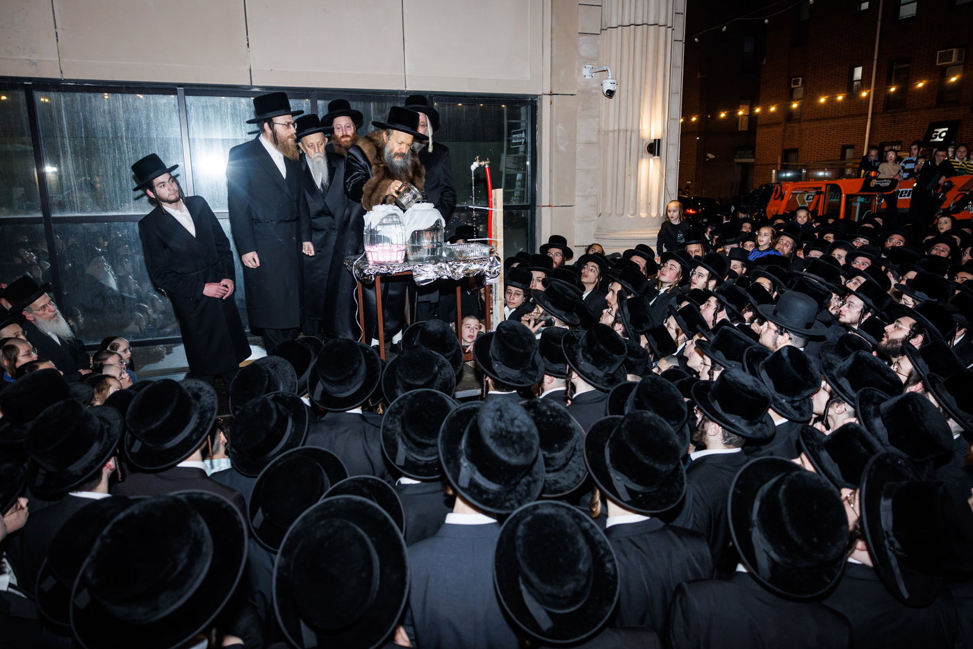 חג הפסח בחצה"ק באבוב 45