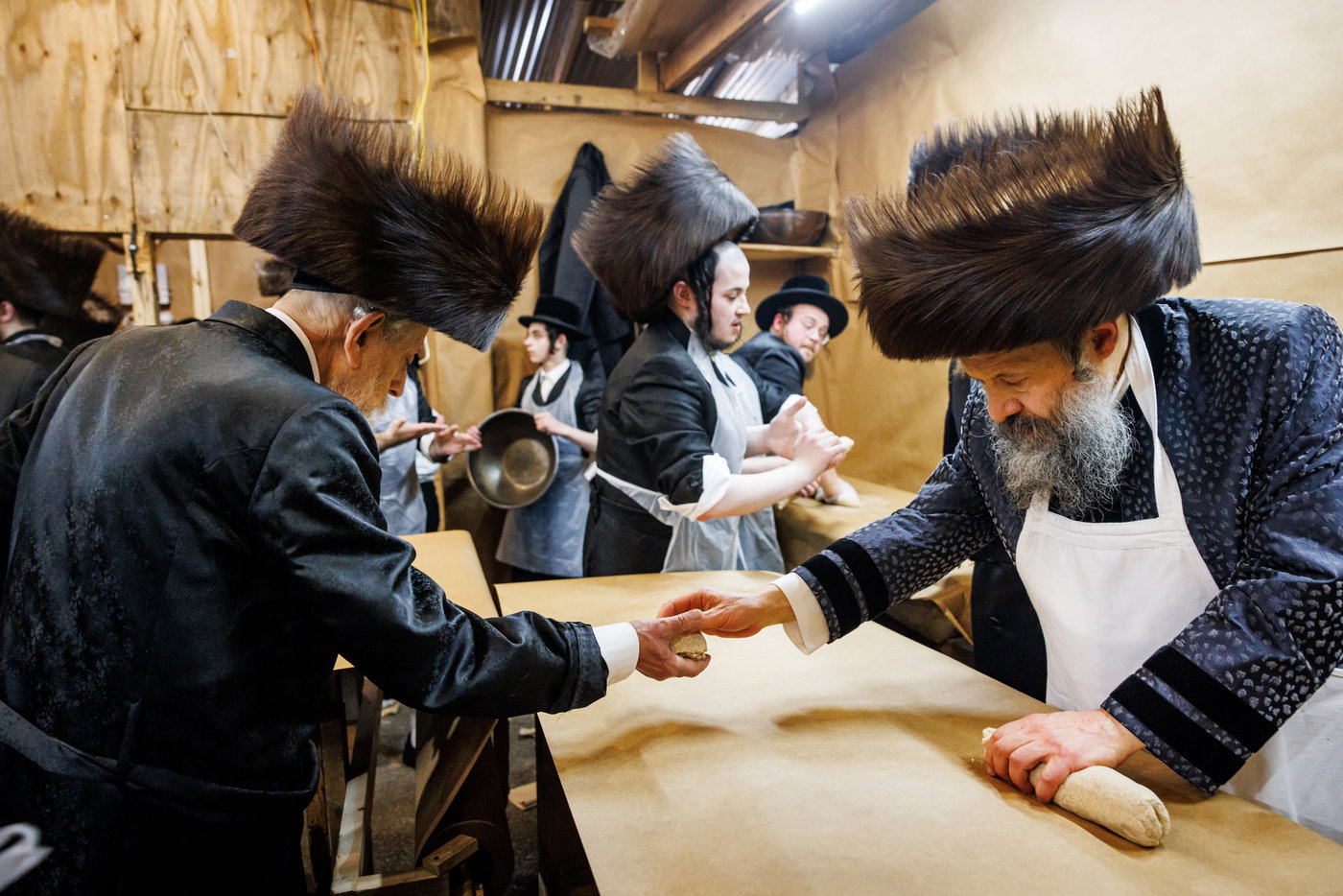 חג הפסח בחצה"ק באבוב 45