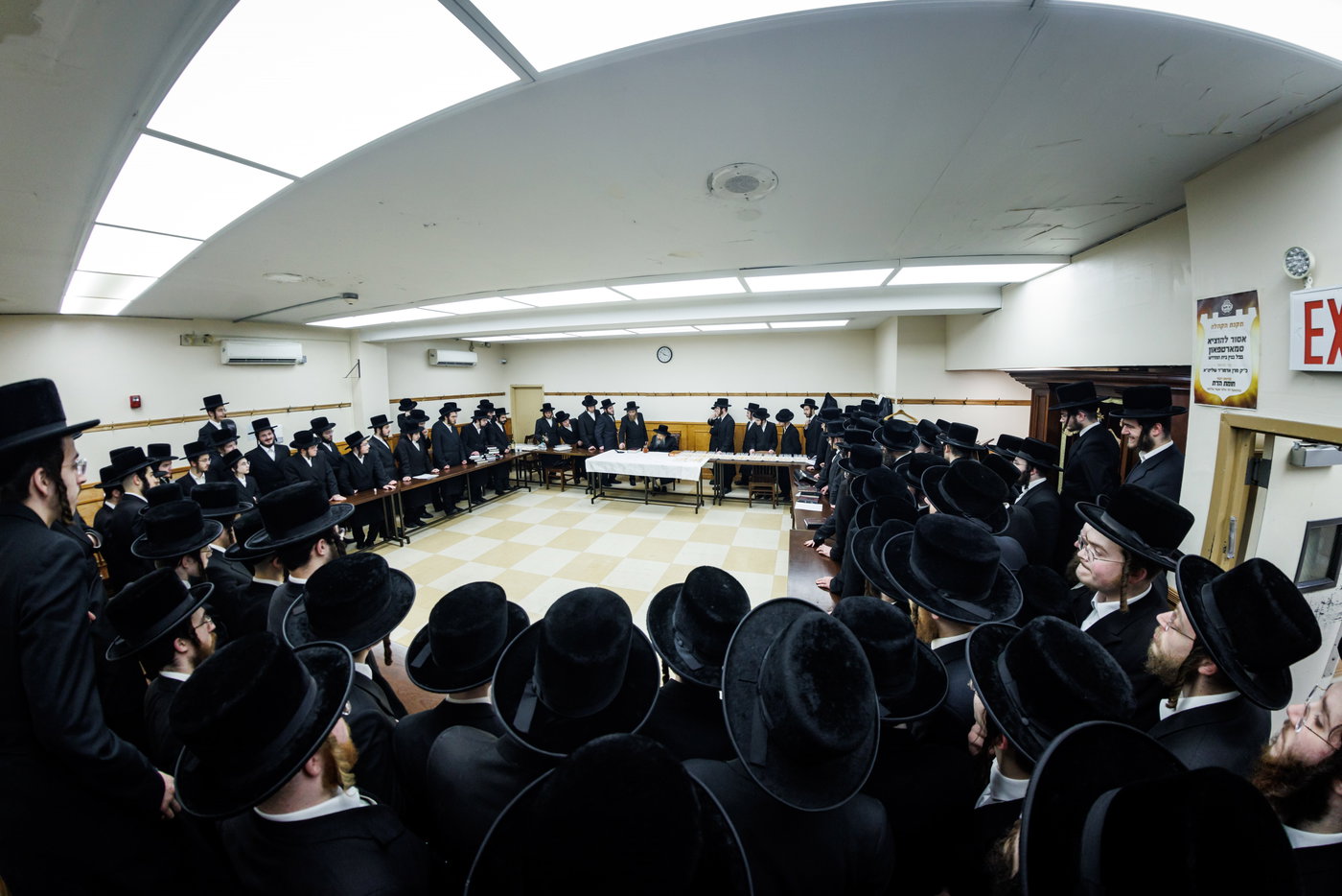 חג הפסח בחצה"ק באבוב 45