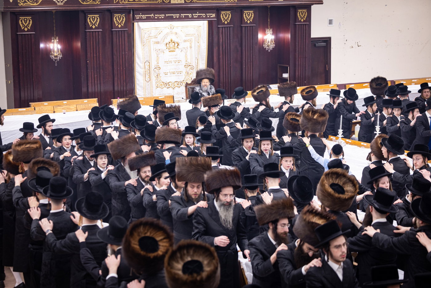 חג הפסח בחצה"ק באבוב 45