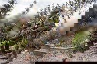 פעיות מבצעית בלבנון