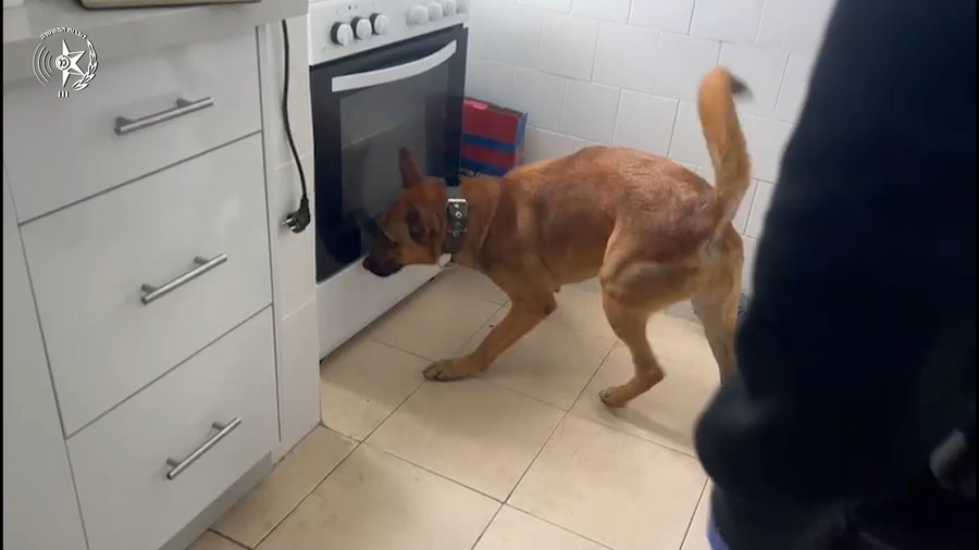 תיעוד יוצא דופן מרגעי איתור הכלב