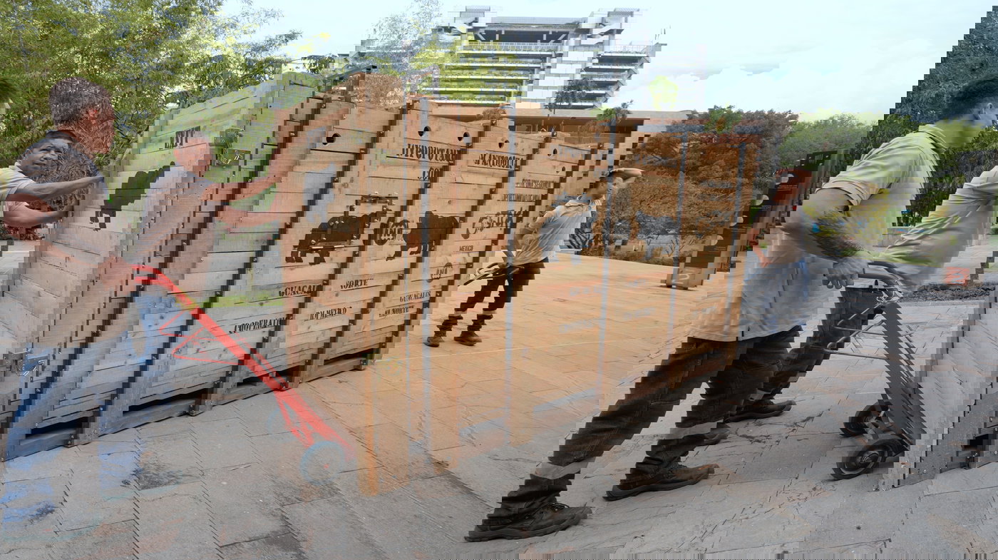 לכל המעוניין - קולומביה מעבירה היפופוטמים לארצות אחרות 