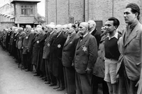 יהודים עונדים כוכבים צהובים במחנה הריכוז קישטרצ'ה בהונגריה בשנת 1944