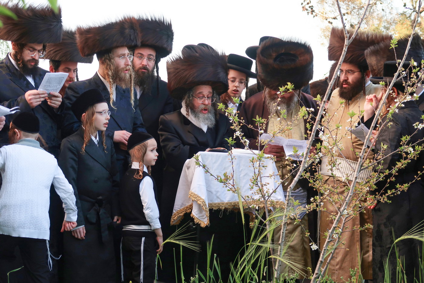 חג הפסח בחצה"ק קרעטשניף סיגעט