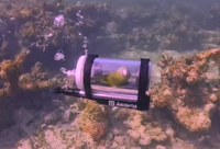 אין חמוד כזה: אמריקאי בנה לתוכי האהוב שלו צוללת מיניאטורית | צפו