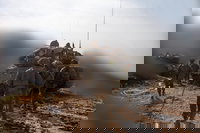 לוחמי חטיבה 8 בדרום לבנון