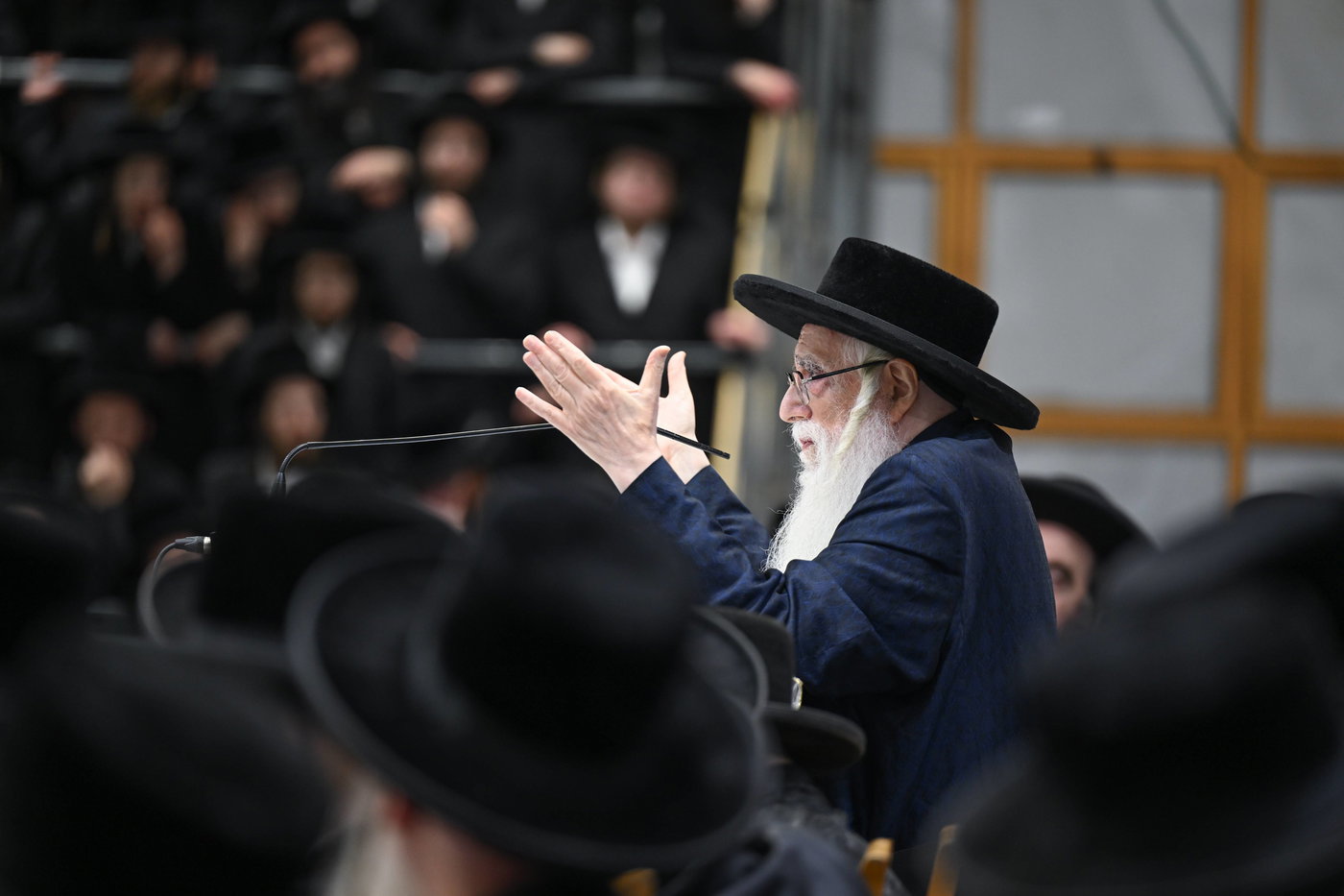 הילולא קדישא בצאנז