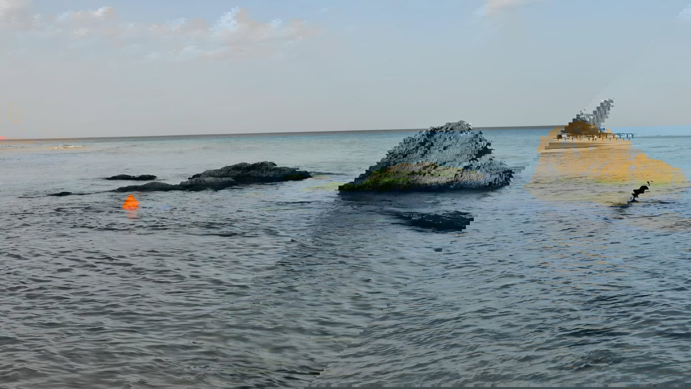 תיעוד מהחיפושים ביממה האחרונה