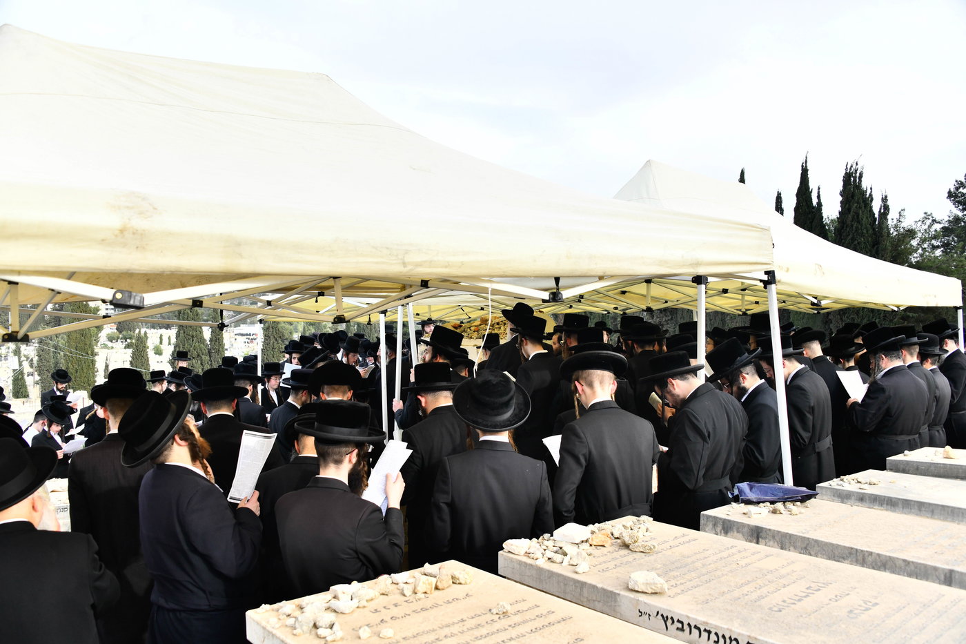 הילולא קדישא בפינסק קארלין