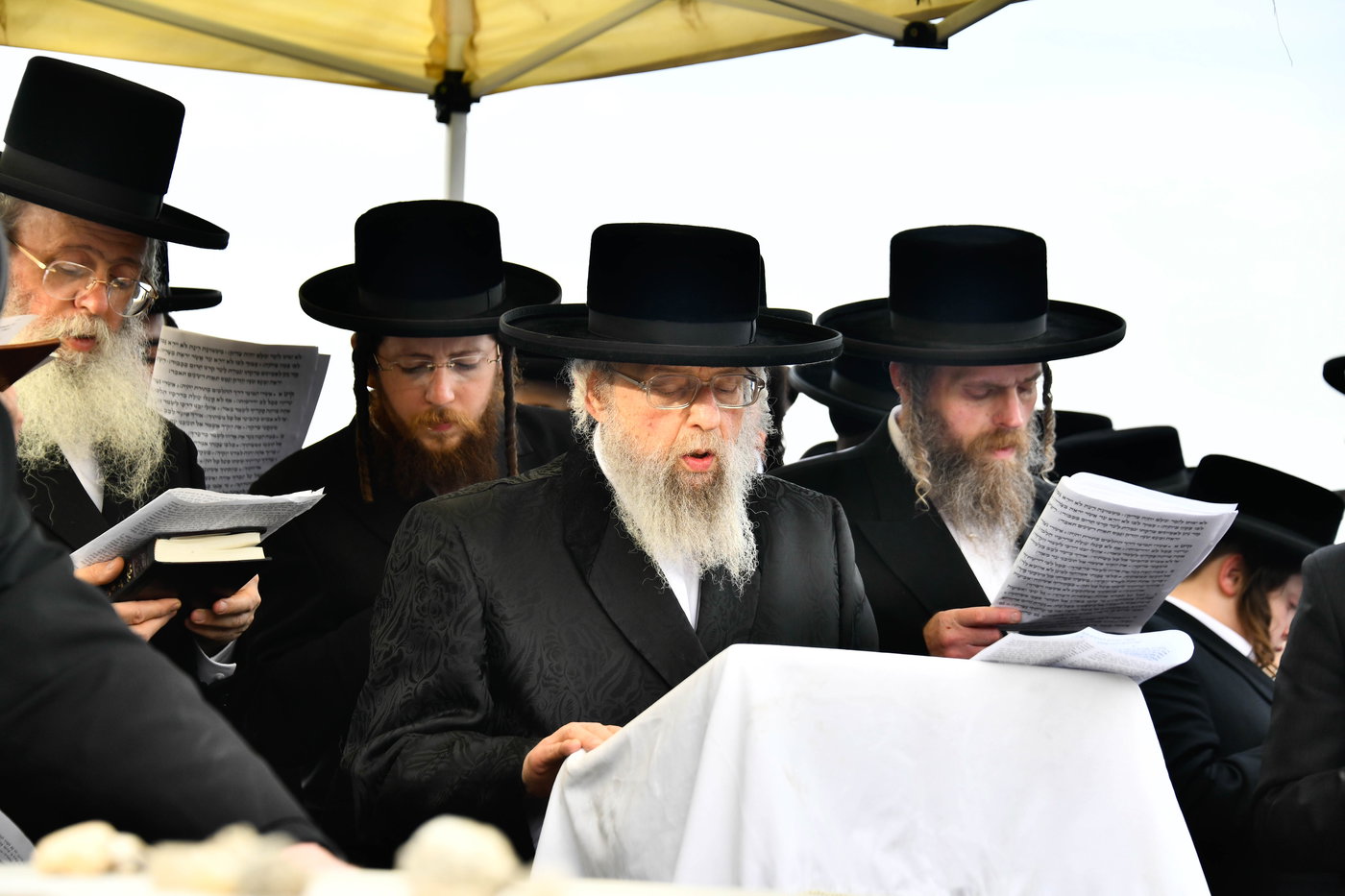 הילולא קדישא בפינסק קארלין