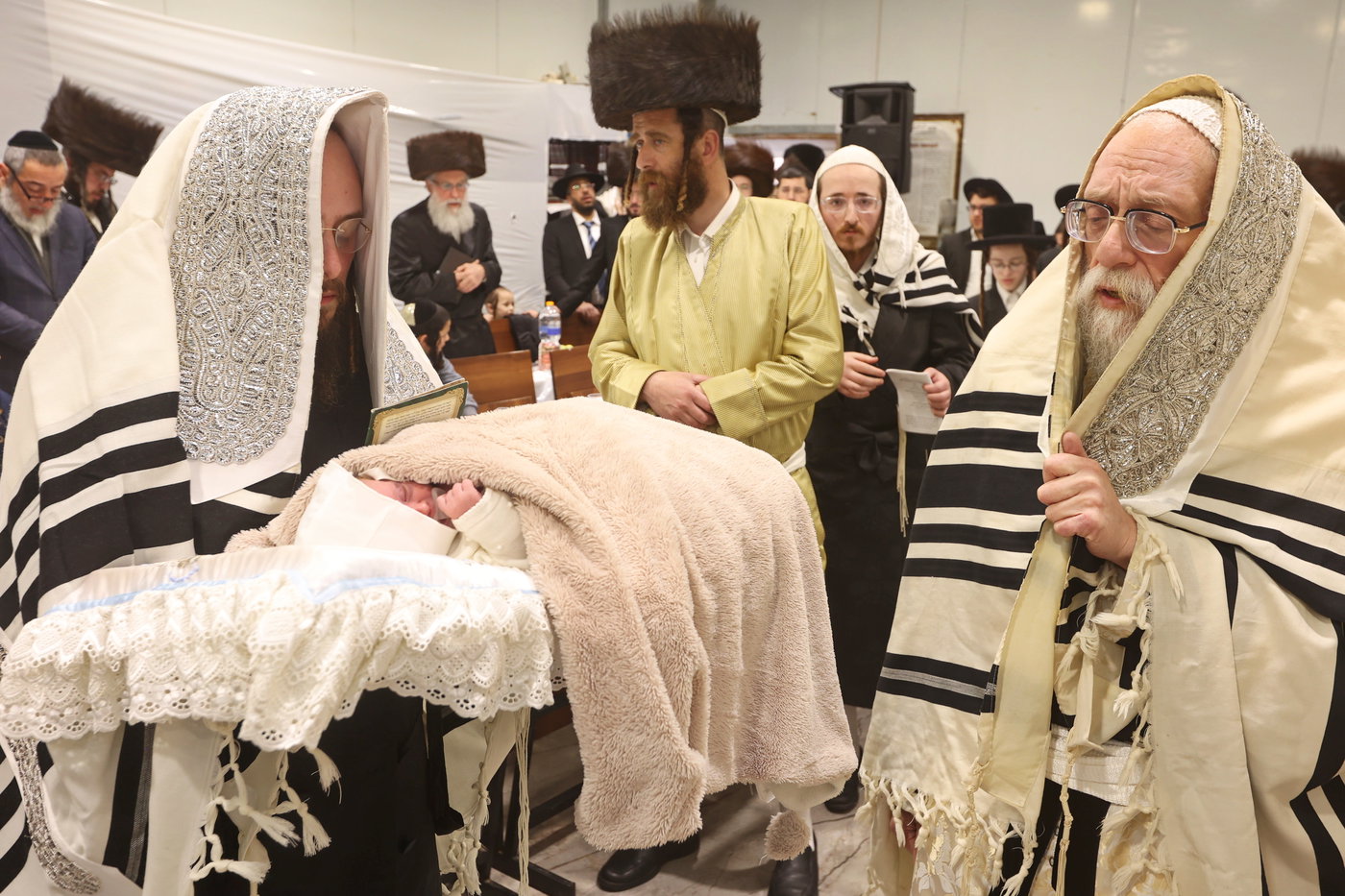 שמחת הברית בשאץ דרהביטש