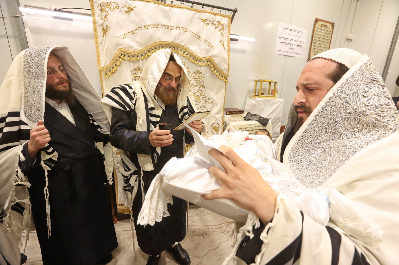 שמחת הברית בשאץ דרהביטש