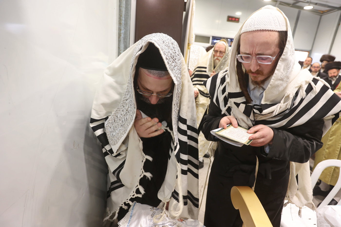 שמחת הברית בשאץ דרהביטש